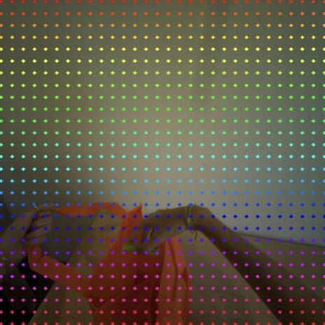 人类第一视角画面上的 3D Flow 锚点网格